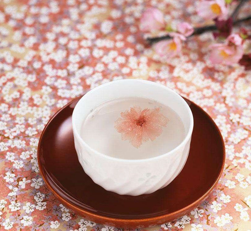 潜派旅行