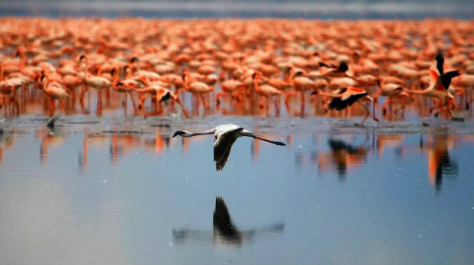 非洲国家签证办理_游记