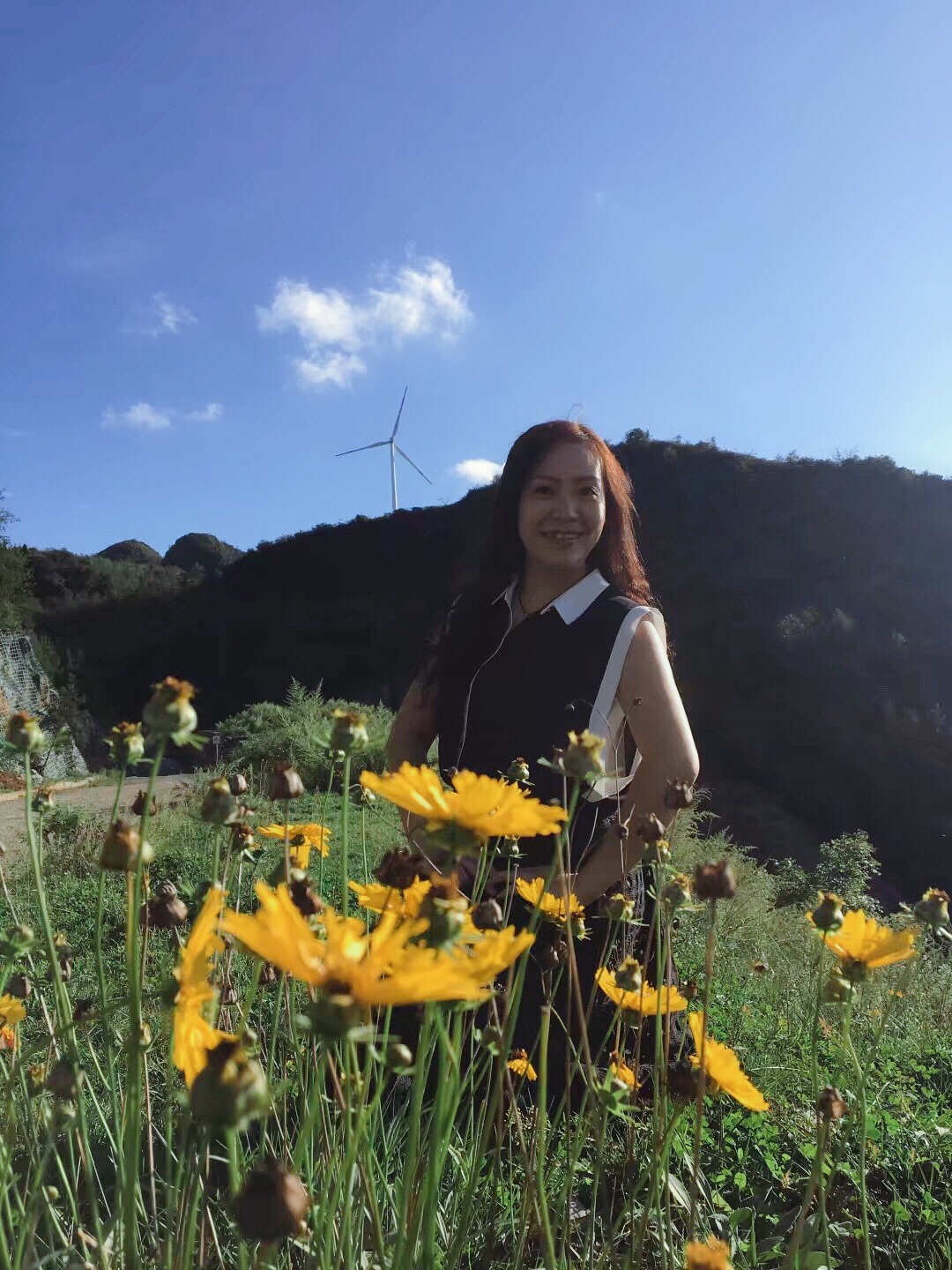 带你认识不一样的贵州—安顺普定"普屯坝云中大草原"