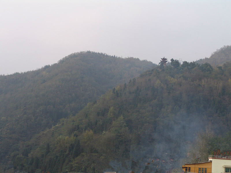 我家后面有山坡