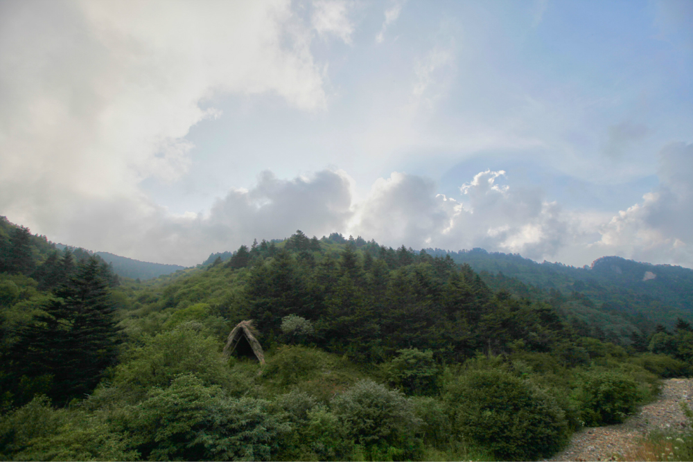 神农架有多少人口_神农架野人