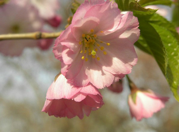 wKgB3FEh342AH5lbAAKnhI6_uJo15.jpeg?imageView2%2F2%2Fw%2F680%2Fq%2F90%7CimageMogr2%2Fstrip%2Fquality%2F90