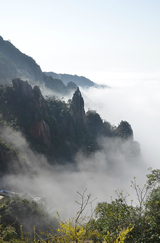 春之旅---如画婺源,仙境三清山(四)