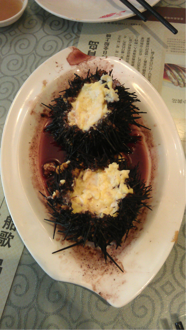 青岛美食-船歌鱼水饺（即墨店）