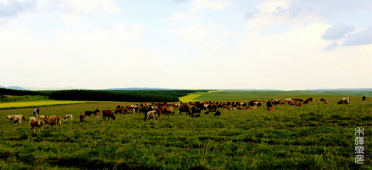 wKgB3FISyUuAdiNrABH2erhbbPA32.jpeg?imageView2%2F2%2Fw%2F600%2Fh%2F600%2Fq%2F90