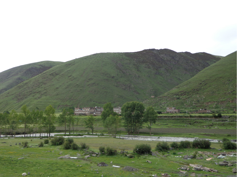 猜成语 黄叶 秋_看图猜成语(2)