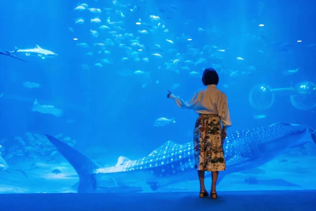 潜派旅行