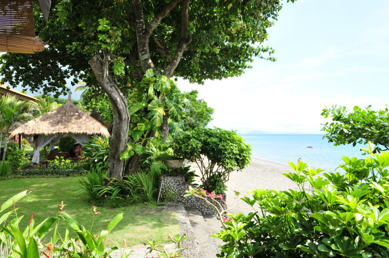 【西努沙登加拉图片】