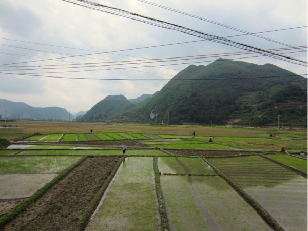 平塘游玩攻略自驾,平塘游玩攻略自驾路线