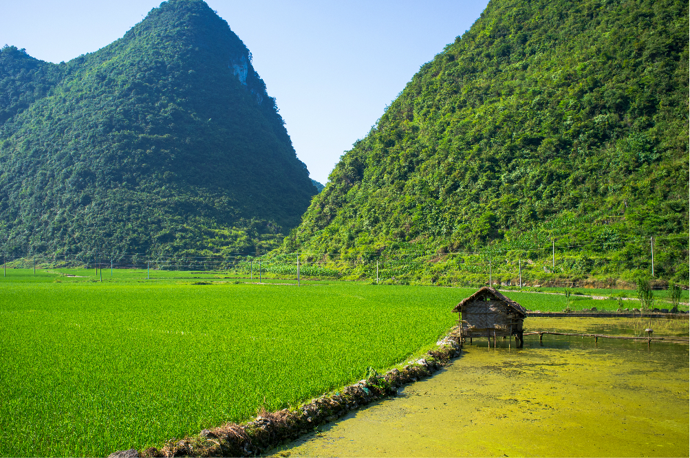 荔波去哪玩-茂兰喀斯特森林保护区