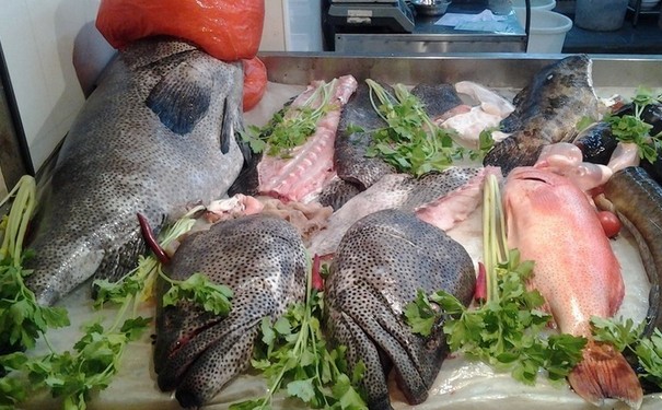 汕头美食-长平深海鱼头