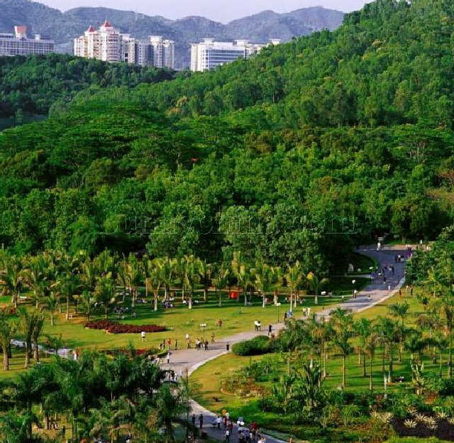深圳好玩又免费的地方