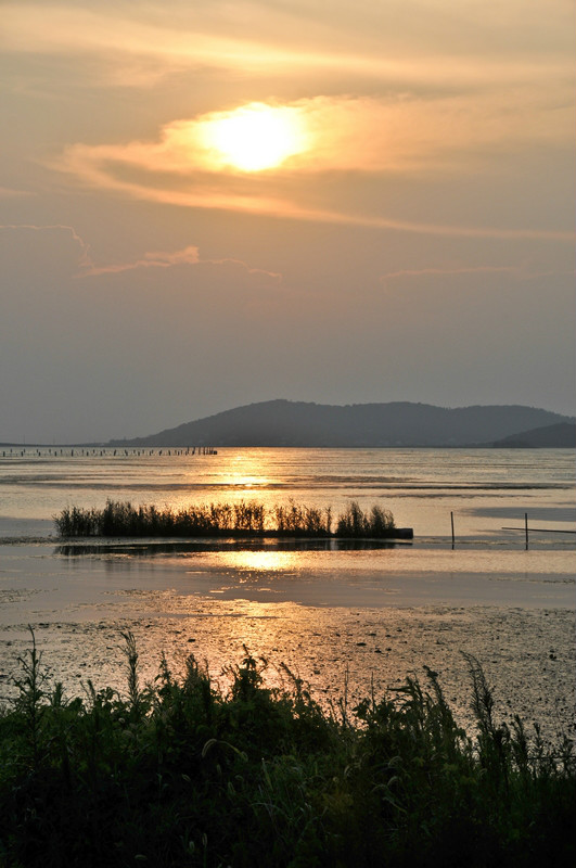 太湖美.