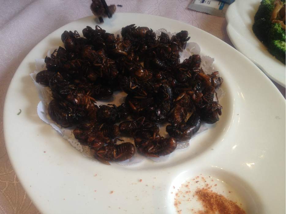 青岛美食-如意海鲜酒楼(井冈山路店)