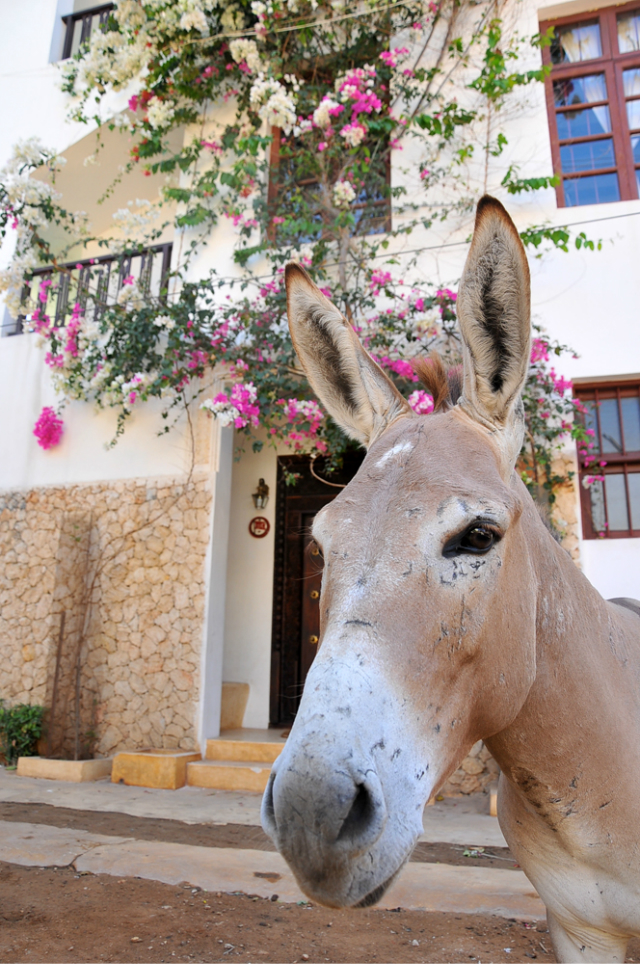 【拉姆岛图片】