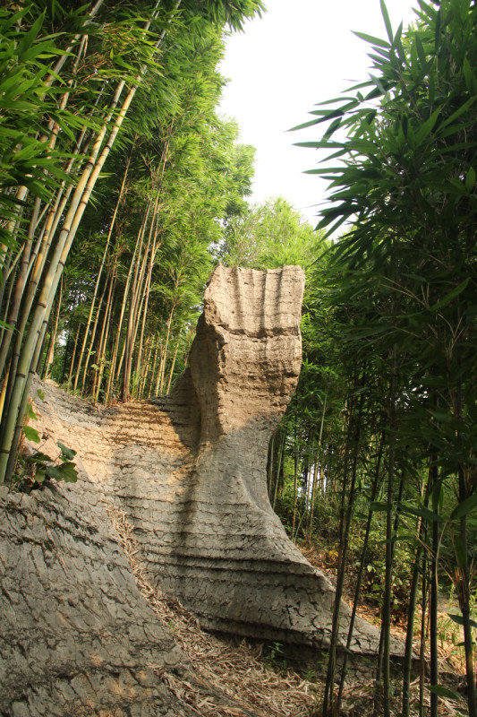 西部竹石林,宜宾旅游攻略 - 马蜂窝