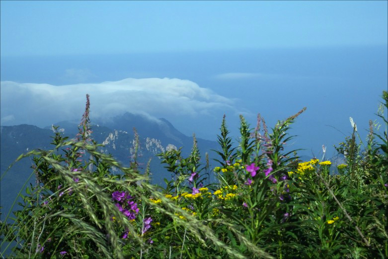 雾灵山云海观奇—人间花海、密云水库环游