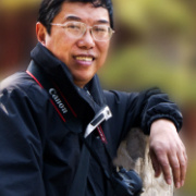 遗忘的西海青子