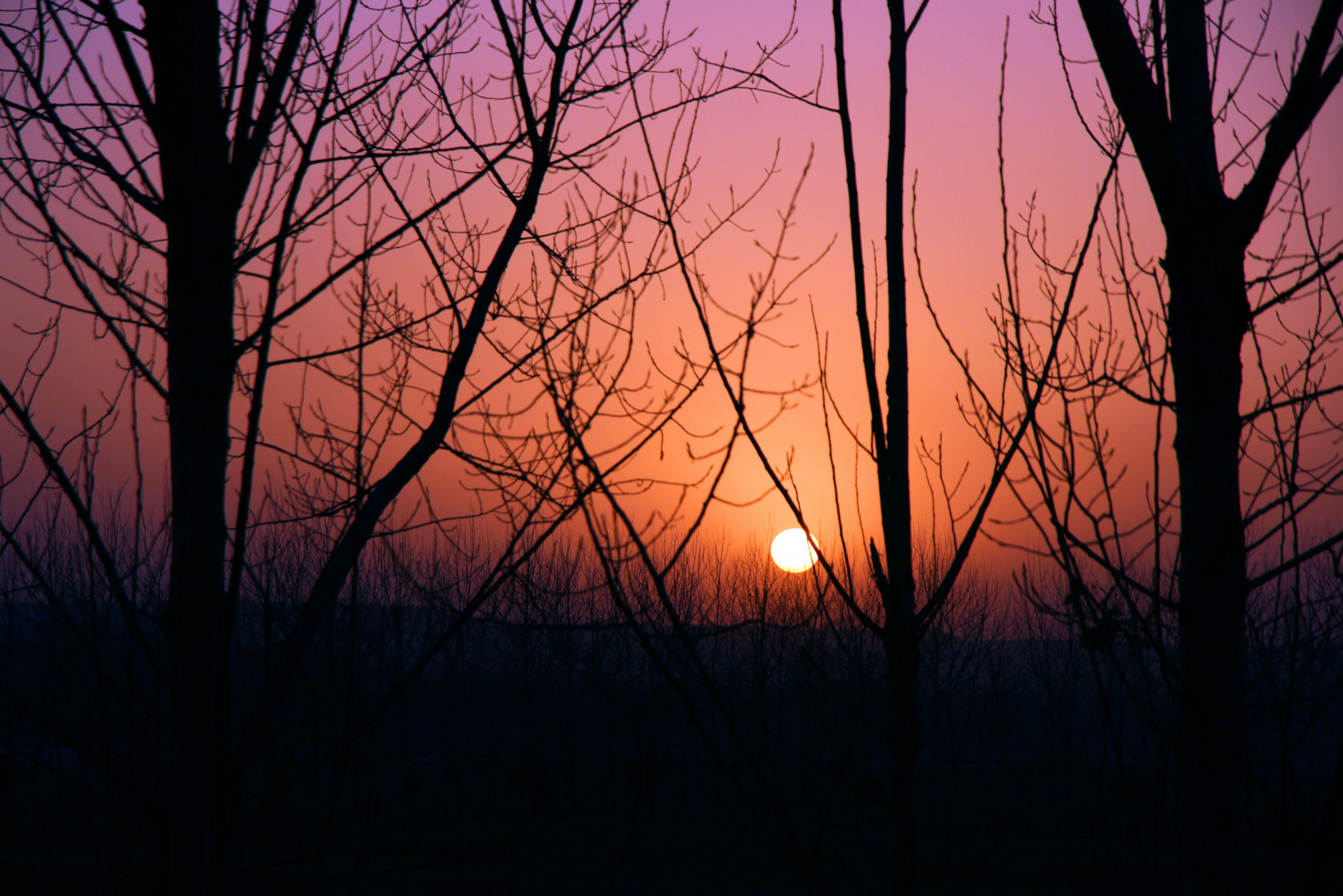 夕阳西下