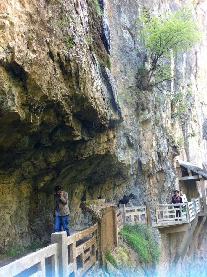 首页 村镇先知 【五一陇南成县之旅】  西狭颂风景区         栈道很