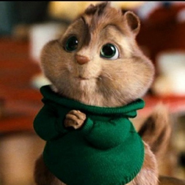 lhnlance