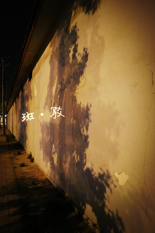 致我那狼心狗肺般的青春