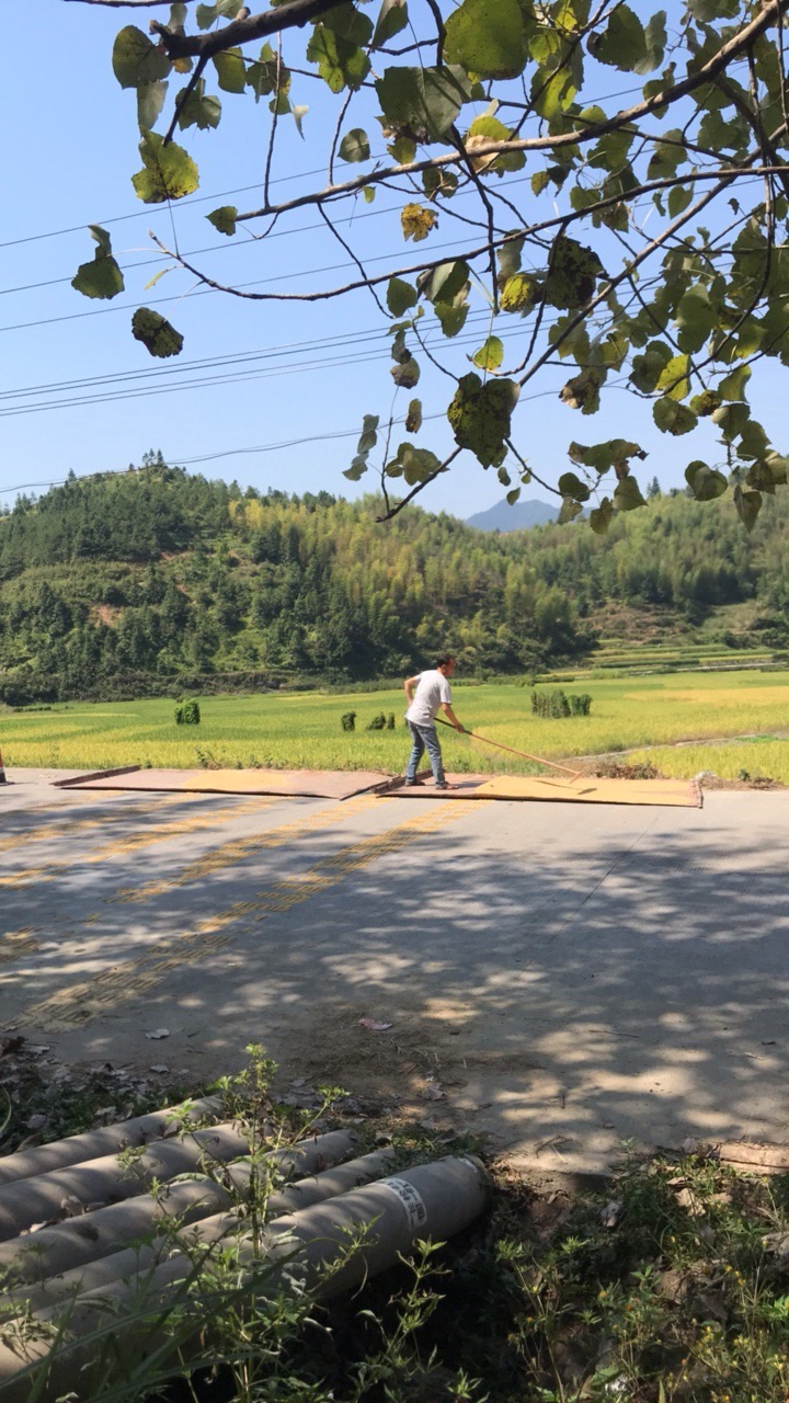 【清流县景点图片】革命烈士纪念碑