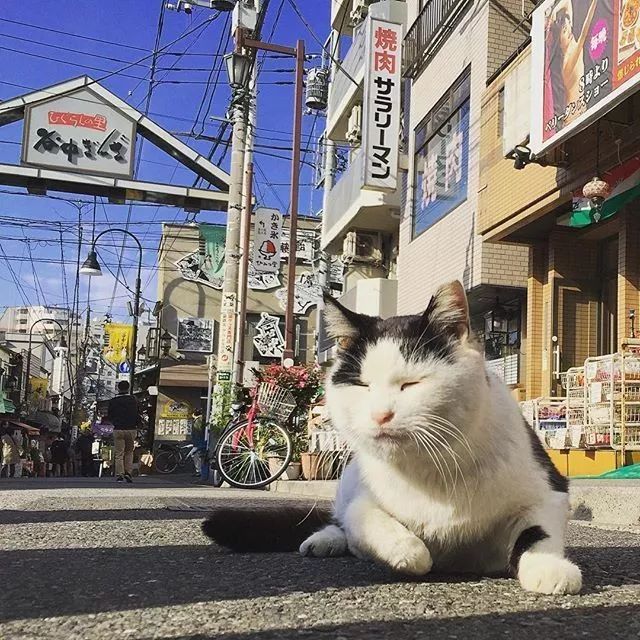 潜派旅行