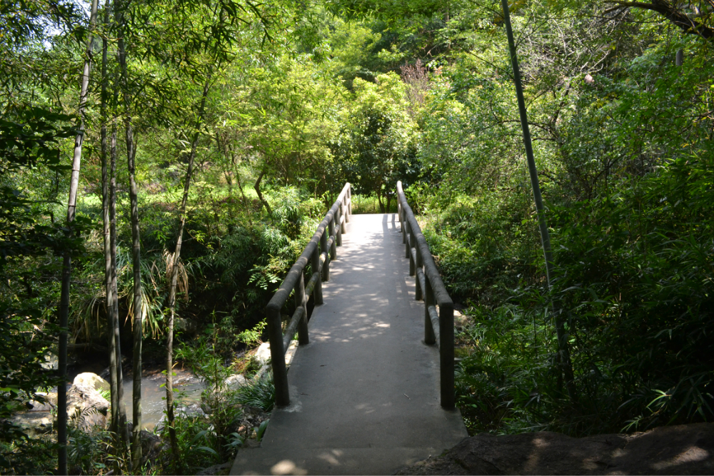 【延平区景点图片】龙井山