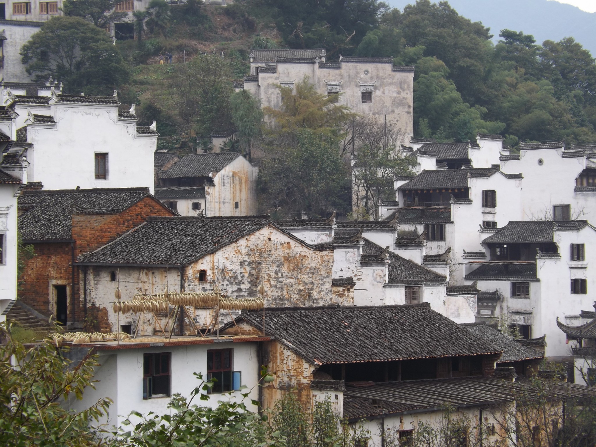 【黄山醉温泉】【梯田.晒秋.篁岭】汽车两日游_游记
