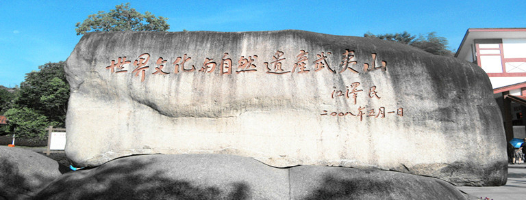 厦门美食-武夷山九曲熏鹅