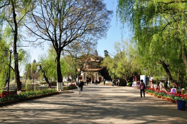 绿树小河游玩攻略,绿树小河游玩攻略大全