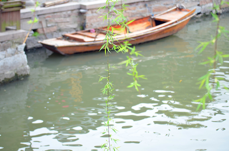 淀山湖踏青