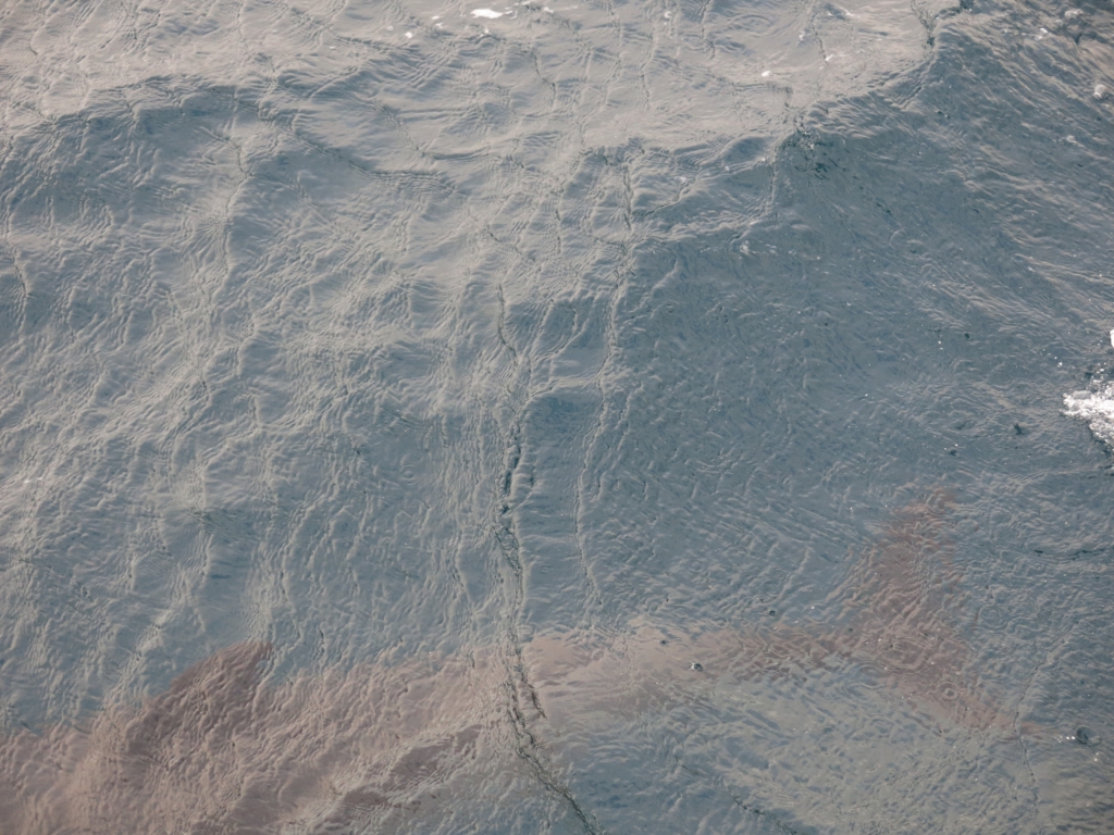 独闯直布罗陀－Gibraltar－圣诞篇（下）_游记