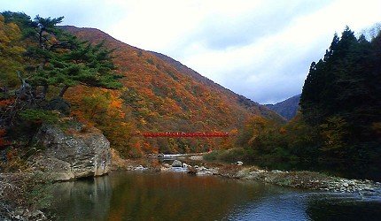 潜派旅行