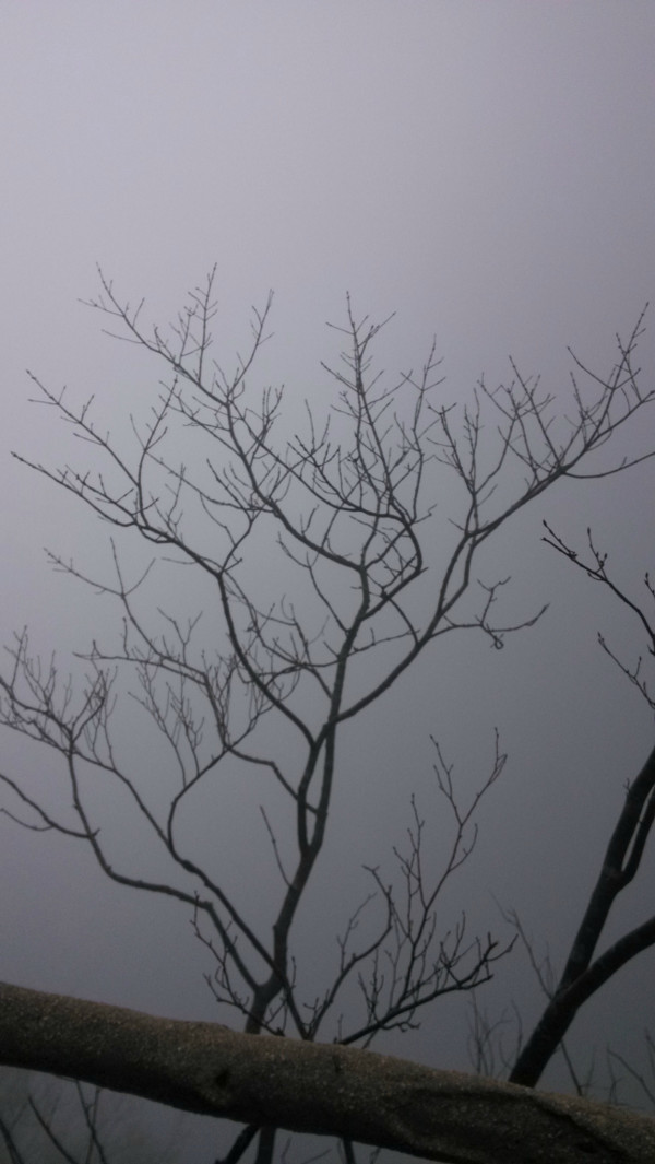 本人三次游黄山的经验总结(纯攻略),黄山自助游攻略