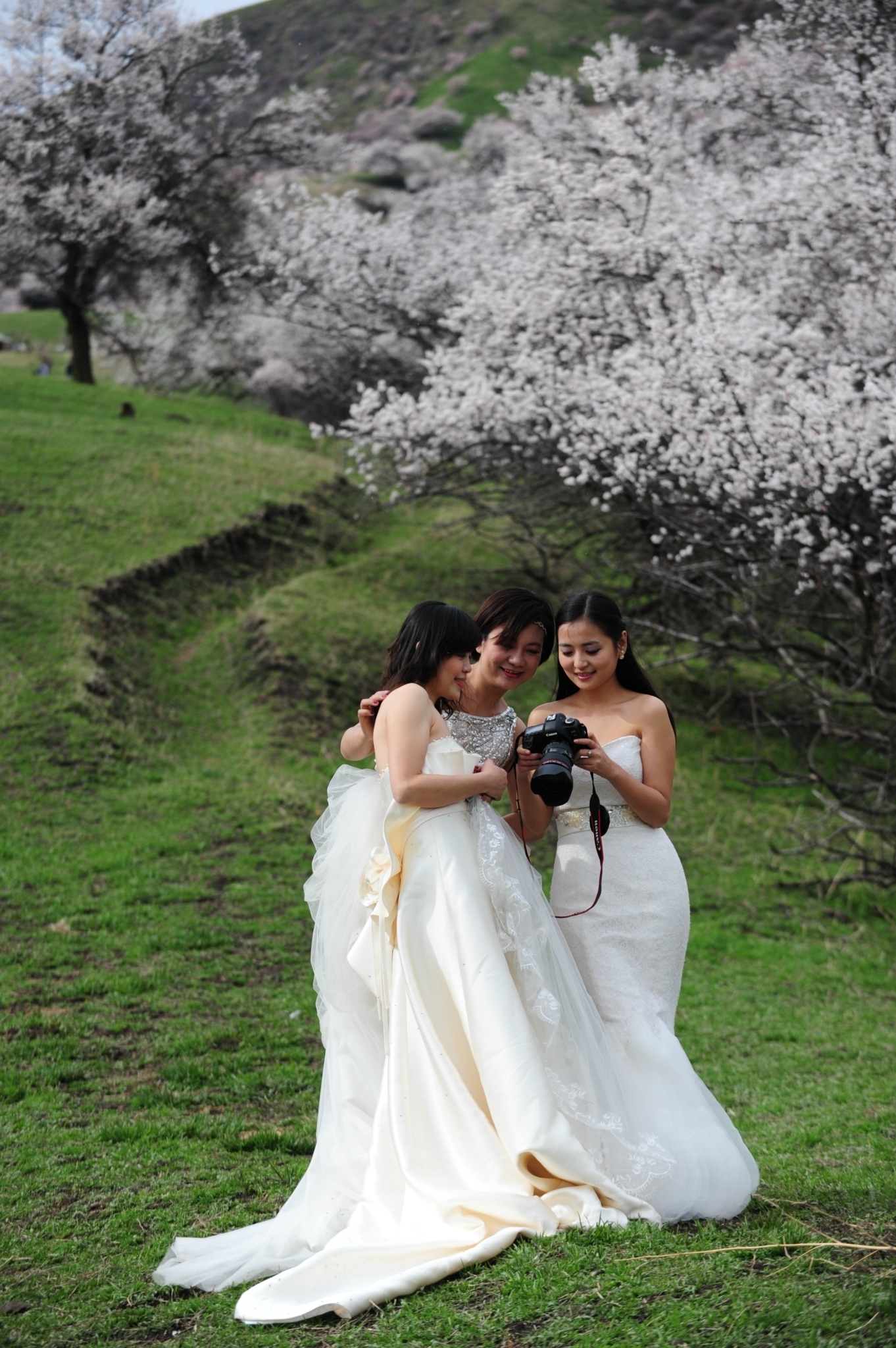 伊犁婚纱照_婚纱照大画幅图片伊犁(2)