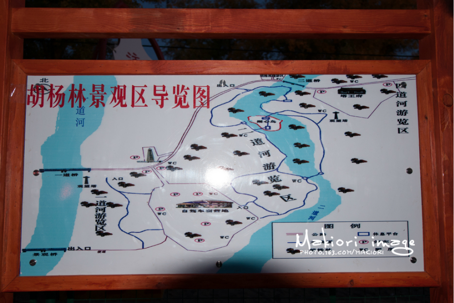 额济纳旗人口_额济纳旗胡杨林