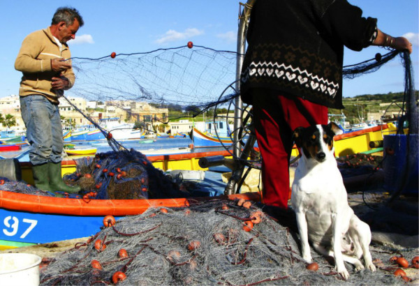 马耳他之第八更! Rolex middle race,热闹的帆船赛