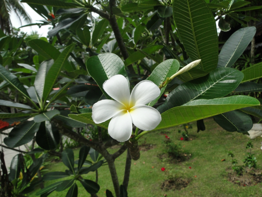 wKgB4lKVl5mAOe2NAAi59gw70O022.jpeg?imageView2%2F2%2Fw%2F600%2Fh%2F600%2Fq%2F90