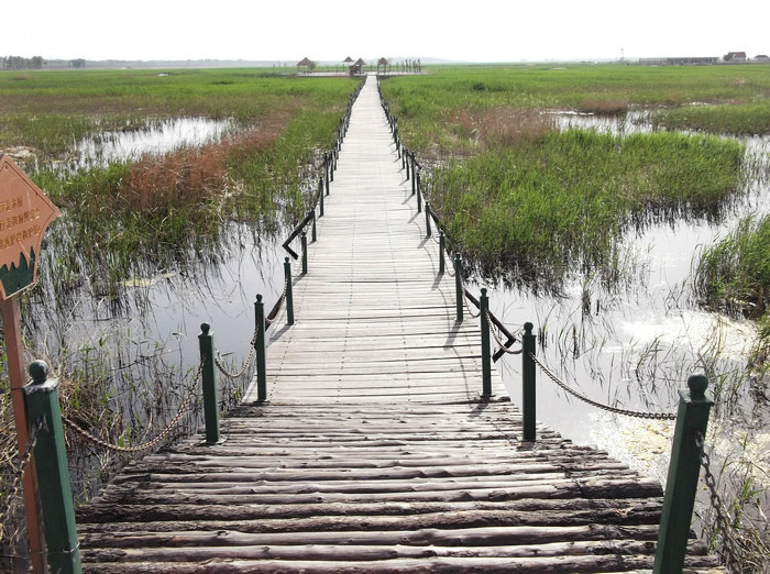 恨铁游记：吉林白城莫莫格湿地