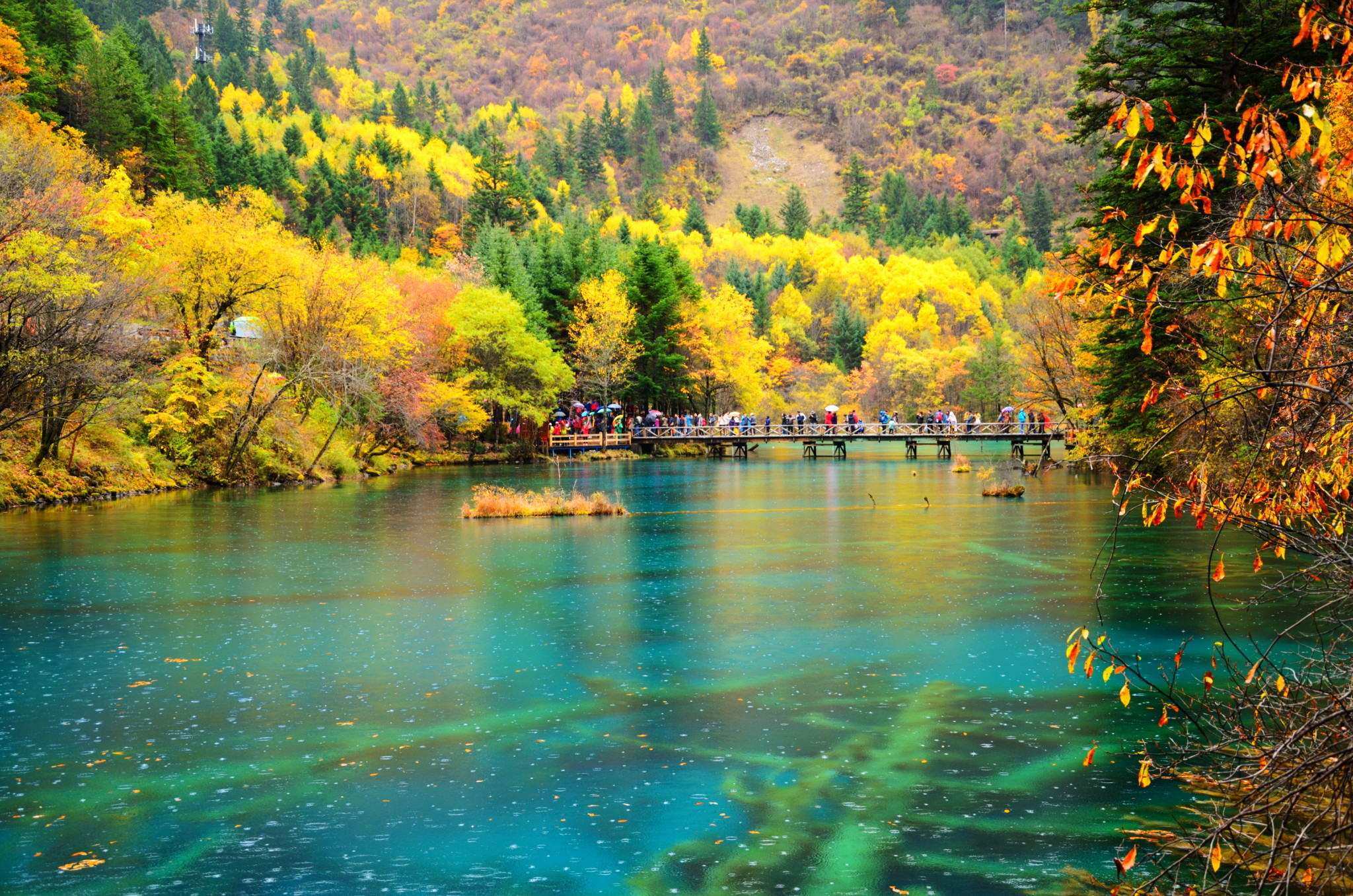 位于四川省阿坝的九寨沟因美丽的自然景观,被誉为"美丽的童话世界"