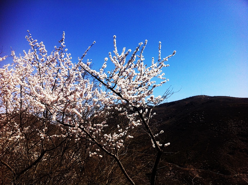 【清明节北京周边游】2023北京清明节去哪里玩，北京清明节周边旅游 