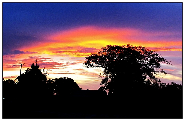 忆---我与苏里南的那些美丽时光---其实不想走（欢迎前辈及侨胞们指点及补充）_游记