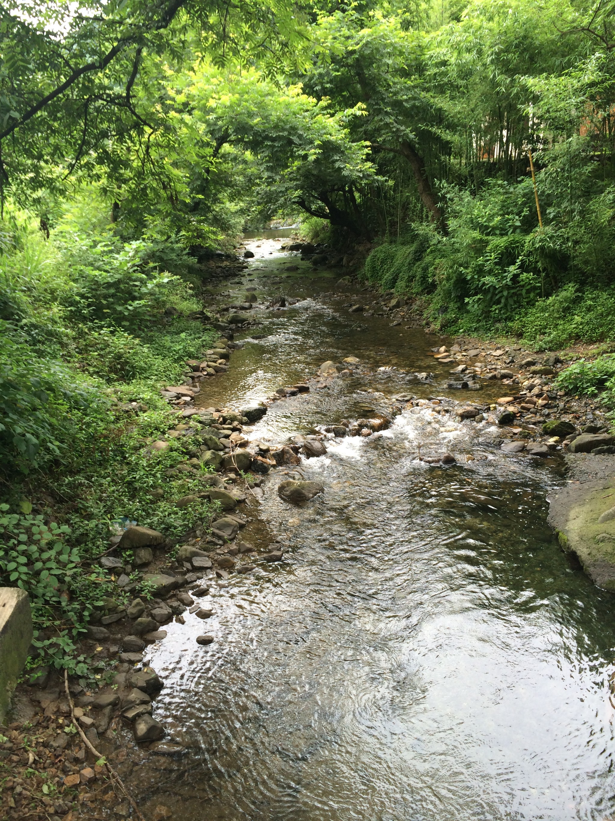 世外桃源、淳朴农家--宣城宁国飞峡谷探秘游记