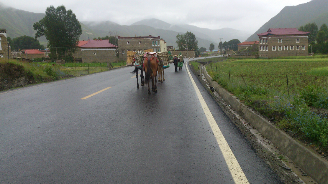 wKgB4lImATWAe0_4ABD7LSRYTmw49.jpeg?imageView2%2F2%2Fw%2F600%2Fh%2F600%2Fq%2F90