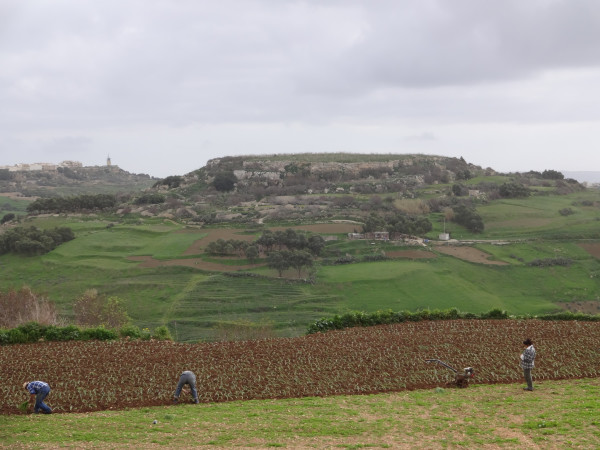 海洋之心马耳他~~(可以用脚丈量的国家),马耳