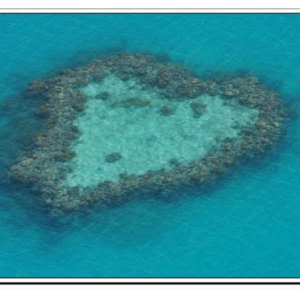 【锡林浩特图片】山鹰之歌