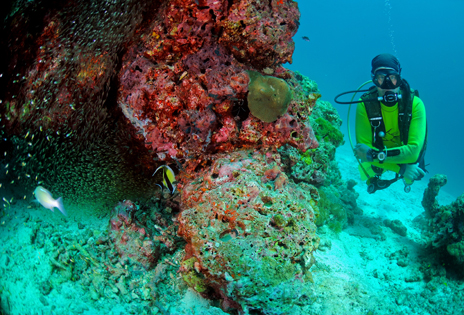 【普吉岛景点图片】Dive Asia Kata Beach