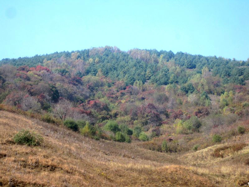 【阳城图片】杨柏大峡谷